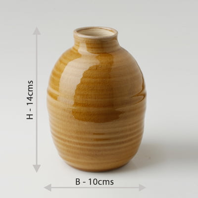 Ochre Narrow Neck Vase HD02