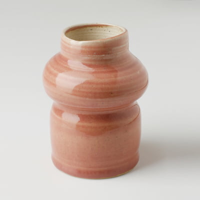 Coral Wavy Vase HD08