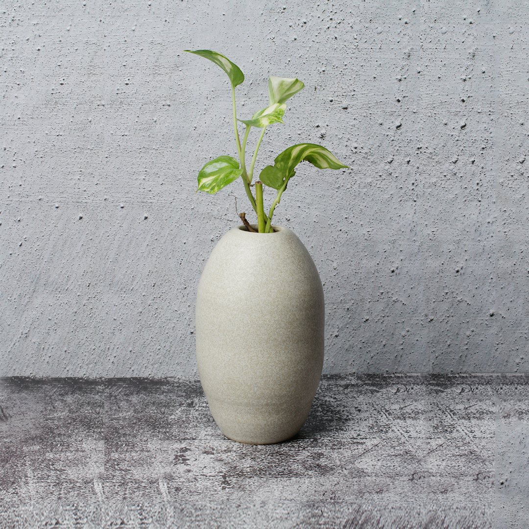 White Vase Canister Style HD41