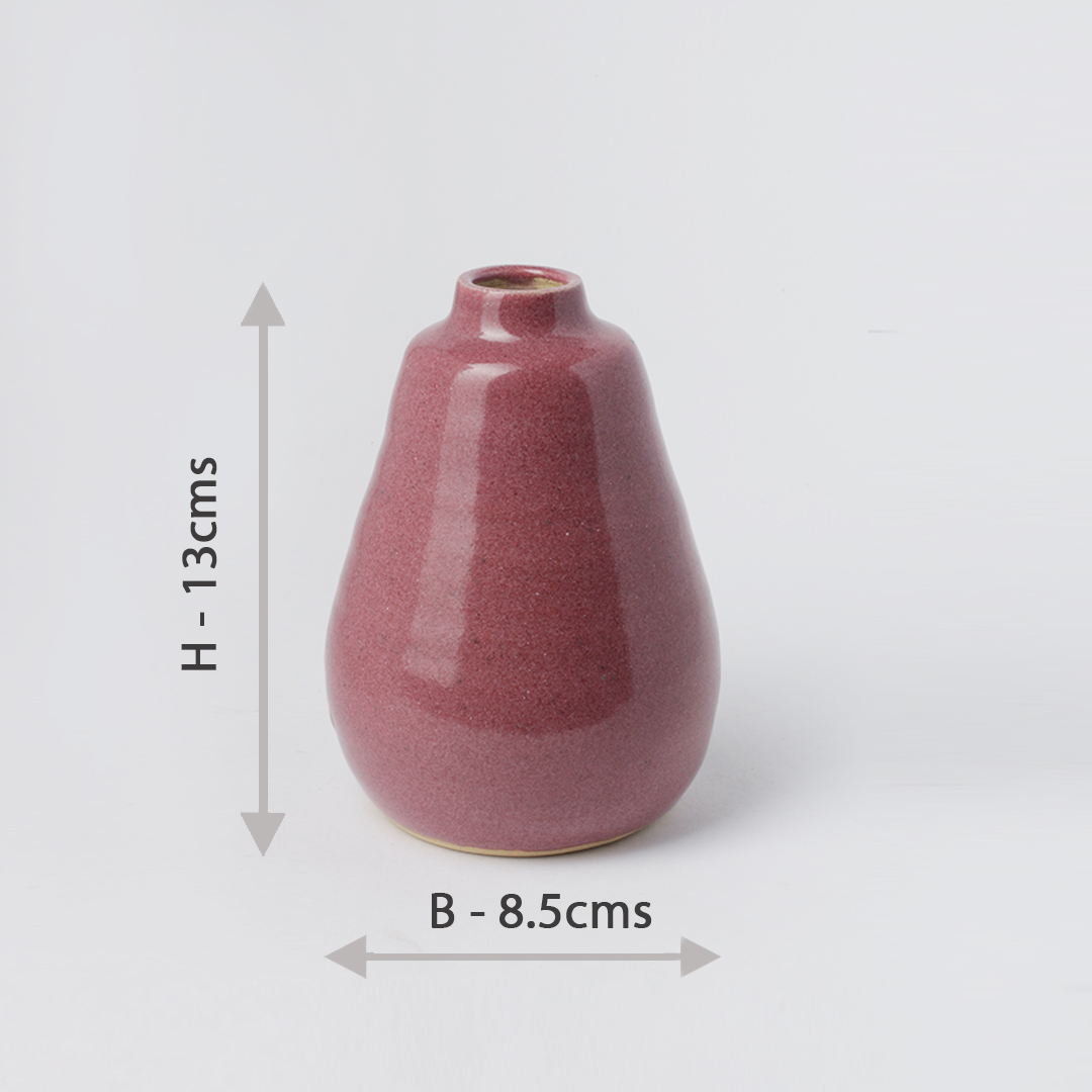 Raspberry Dual Vases HD48