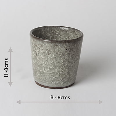 Greyish Eggshell Mug DWS42