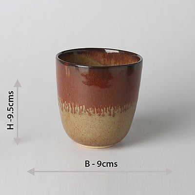 Spice Fusion Ombre Cup DWS75