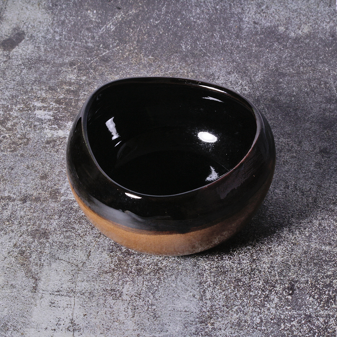 Glossy Dual Tone Bowl DWB19